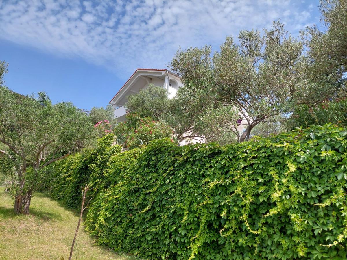 Apartment Zorka Supetarska Draga Dış mekan fotoğraf